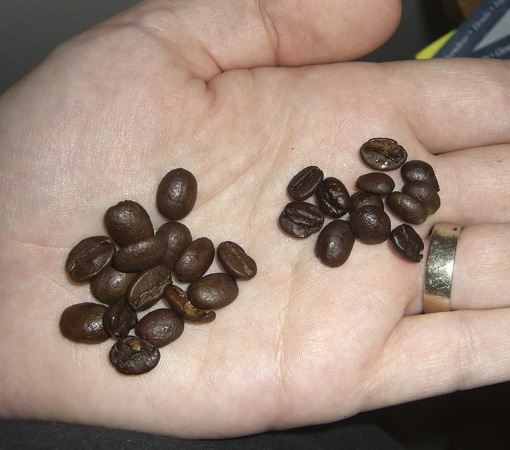 Sachets de café en grains sur les étagères de la boutique